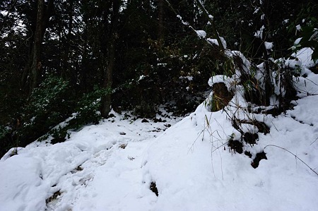 1101021228_DSC_7162