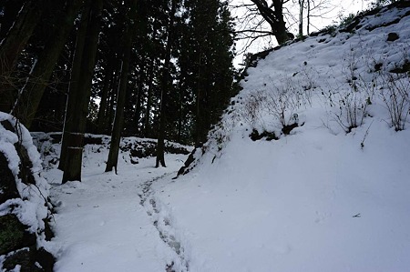 1101021236_DSC_7189
