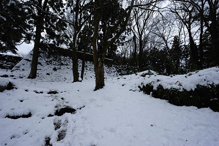 1101021238_DSC_7204