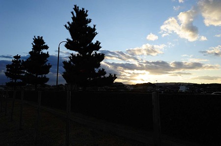 1101041630_DSC_9079