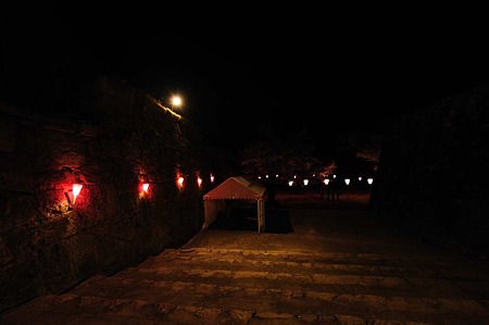 1104121941_DSC_9780