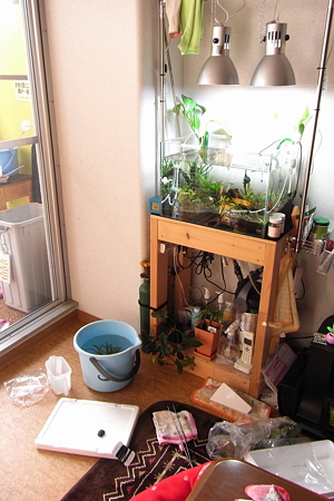 植栽
