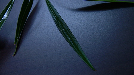 DSCF0661
