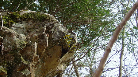 DSCF4695