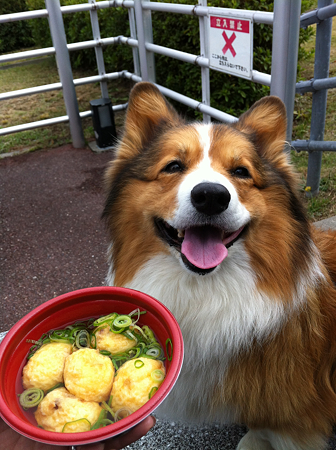 写真 5