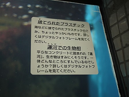問題提起
