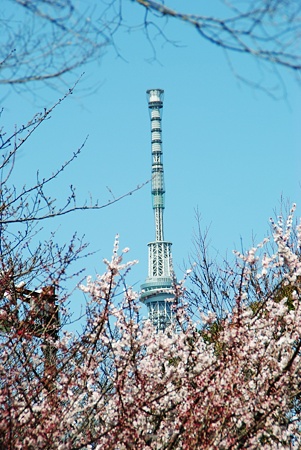 saruetamaokikouen