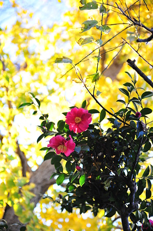 DSC_0805