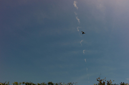 20120429-L1000074