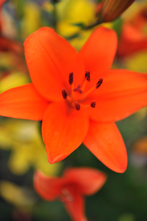 DSC_4696d