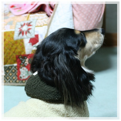 20120212 MARO(kissX)1
