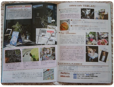 WAN☆NYAN TIMES 1月号