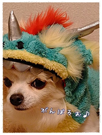 頑張る