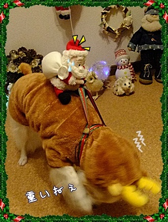 重い!!