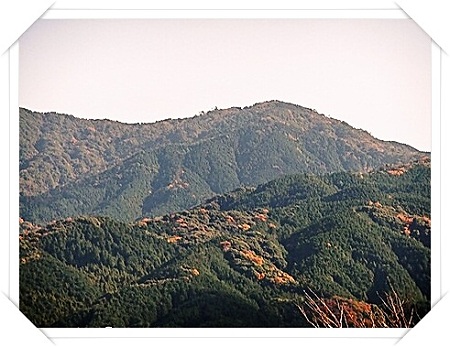 紅葉