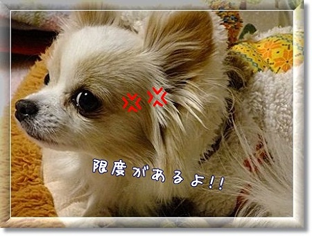 限度