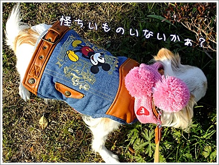 怪しいもの