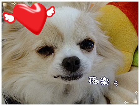 極楽