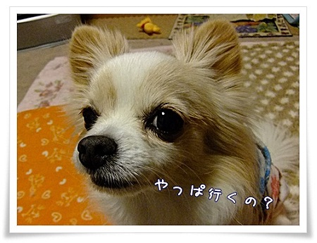 行くの?