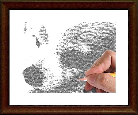 鉛筆画