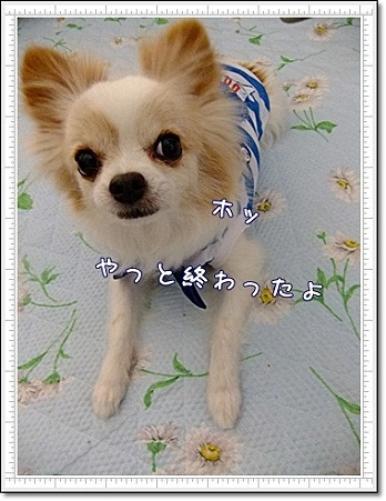ホッ