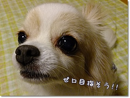 目指す