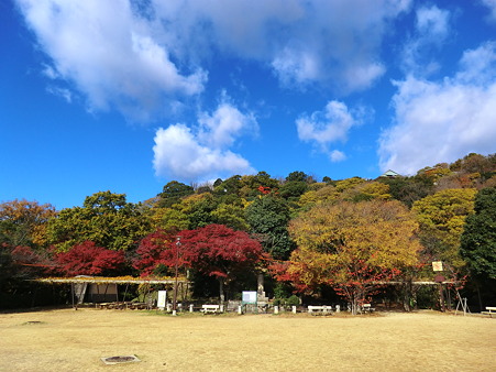 金星台からみた諏訪山