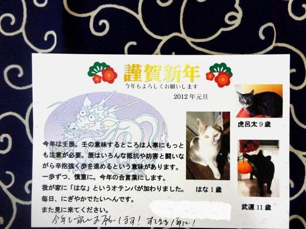 NewYearCard_Kazume-san-Jan2012