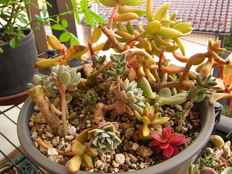 R0012171