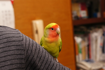 DSC01876