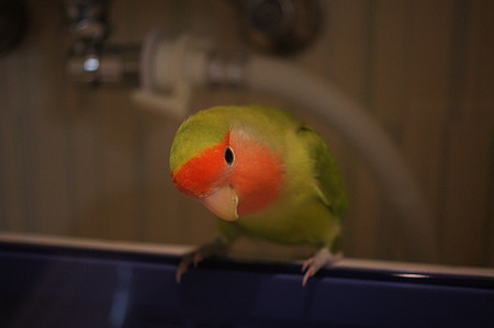 DSC09748