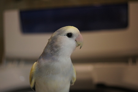 DSC09800