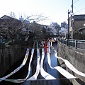 Photos: 染の小道2012