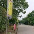 20210606特別展「国宝 鳥獣戯画のすべて」東京国立博物館